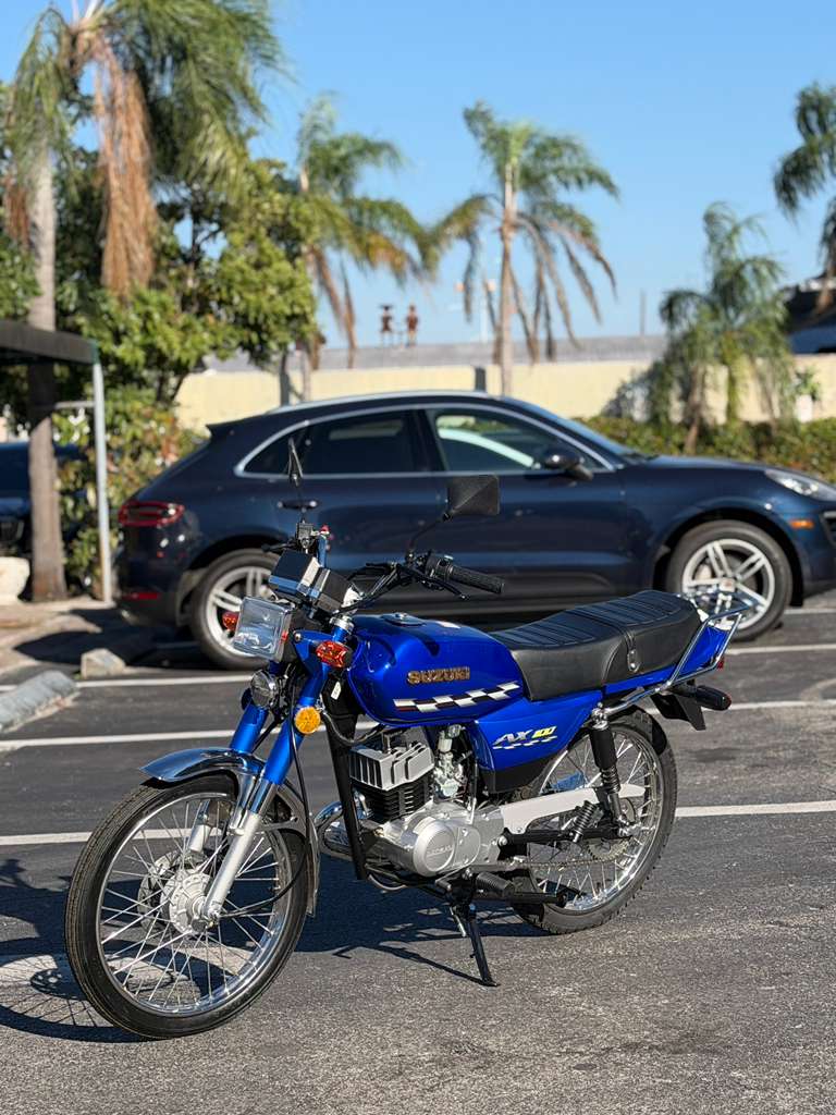 Suzuki AX100