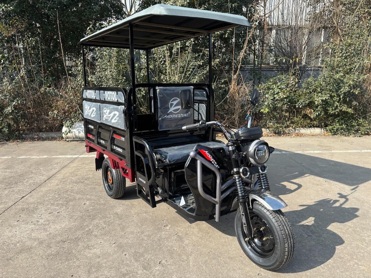Triciclo Eléctrico